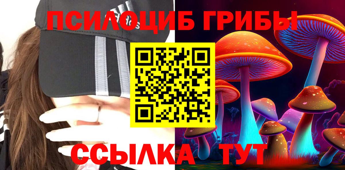 Галлюциногенные грибы Psilocybine cubensis  Вход с VPN  Можайск 