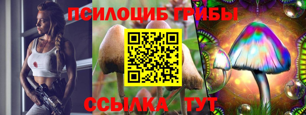 Псилоцибиновые грибы GOLDEN TEACHER Можайск
